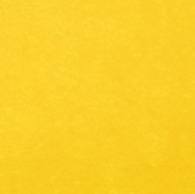 Заготовка из фетра Felt S, желтый Заготовка из фетра Felt S, желтый